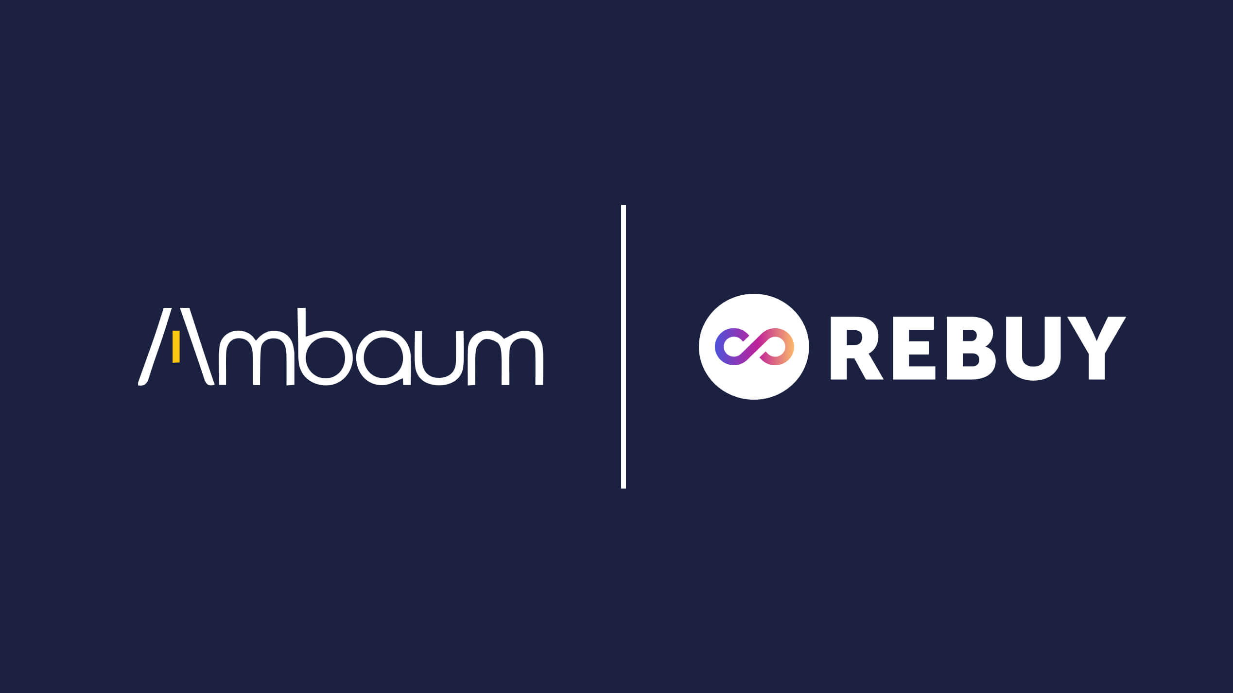 Ambaum integration blog banner (1)