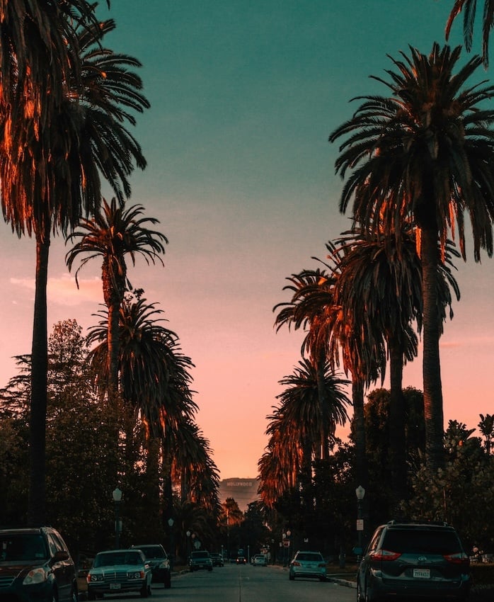 LA street with palm trees