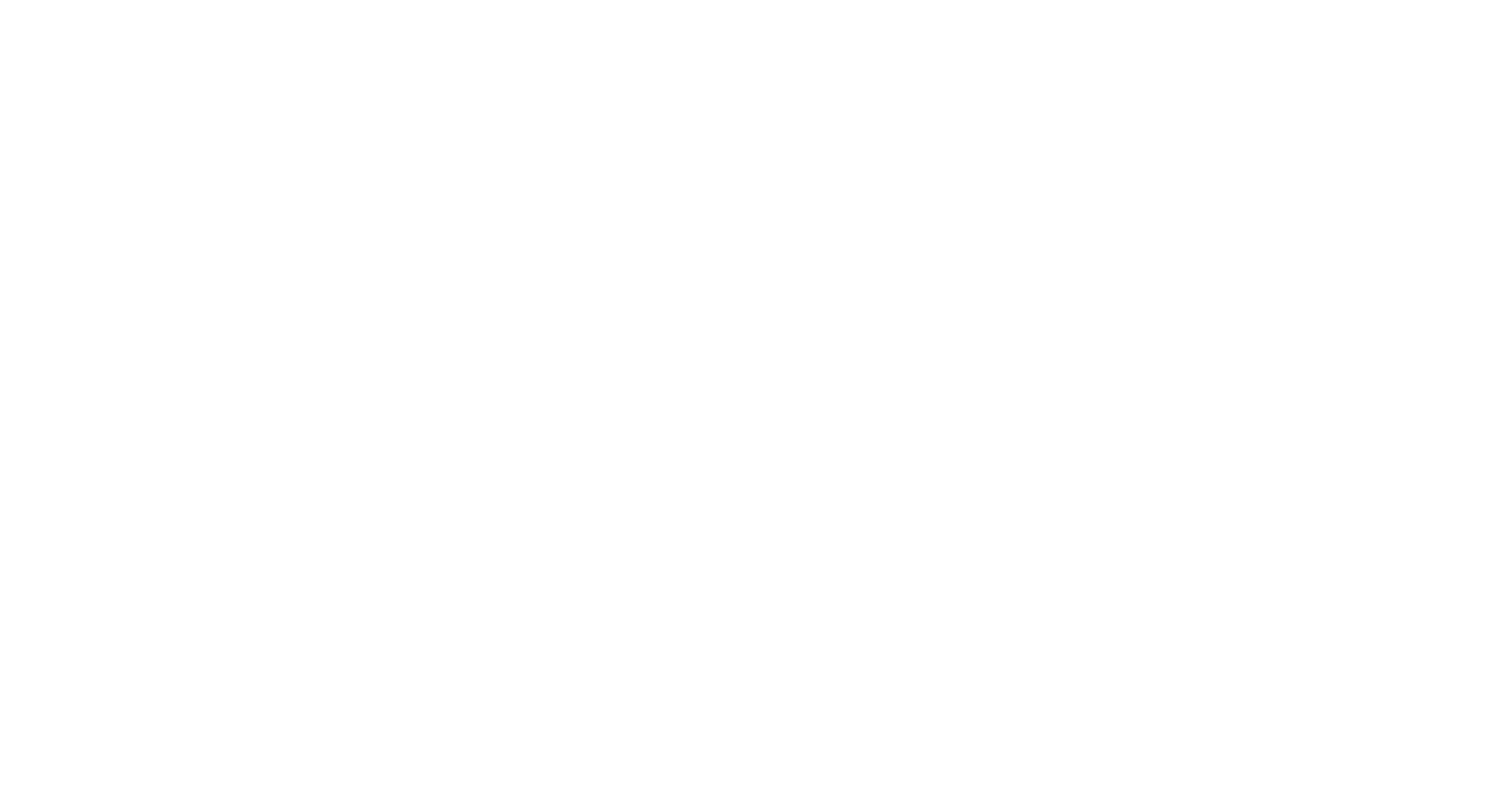 Swap Wordmark White