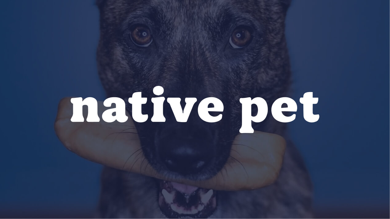Native Pet logo over an image of a dog holding a yak chew